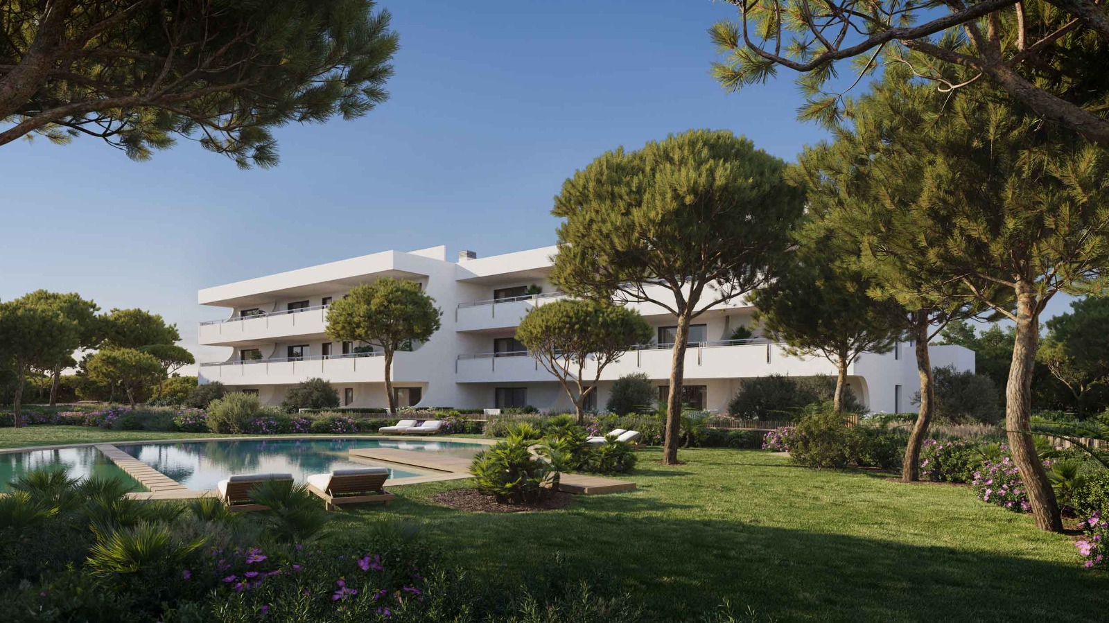 Vista heroica de la promoción